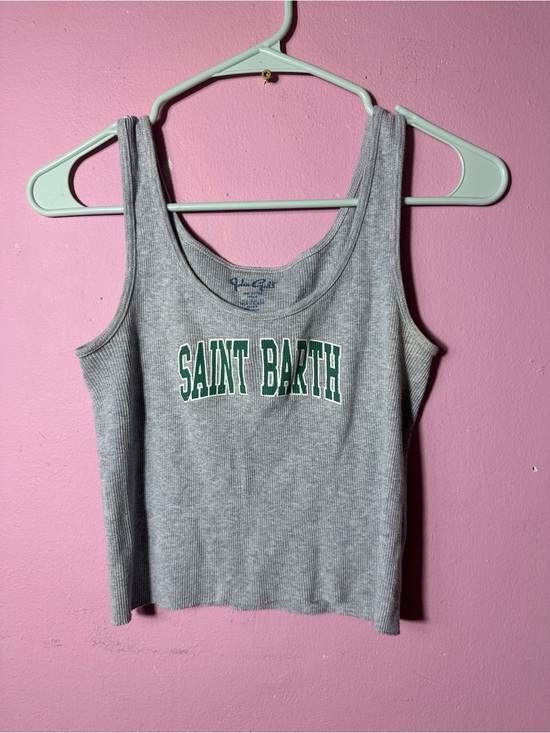 Brandy Melville Tops - St Barth Brandy Melville Gray Ribbed Tank Top